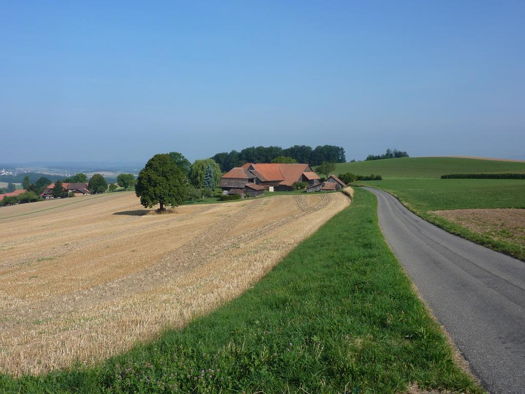 优雅住宿加早餐旅馆 Ueberstorf 外观 照片